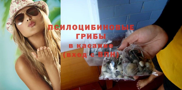 мескалин Богданович