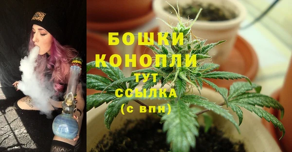 СК Бородино